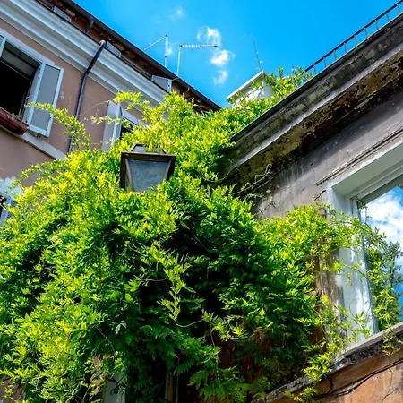 Navona Open Space Apartments